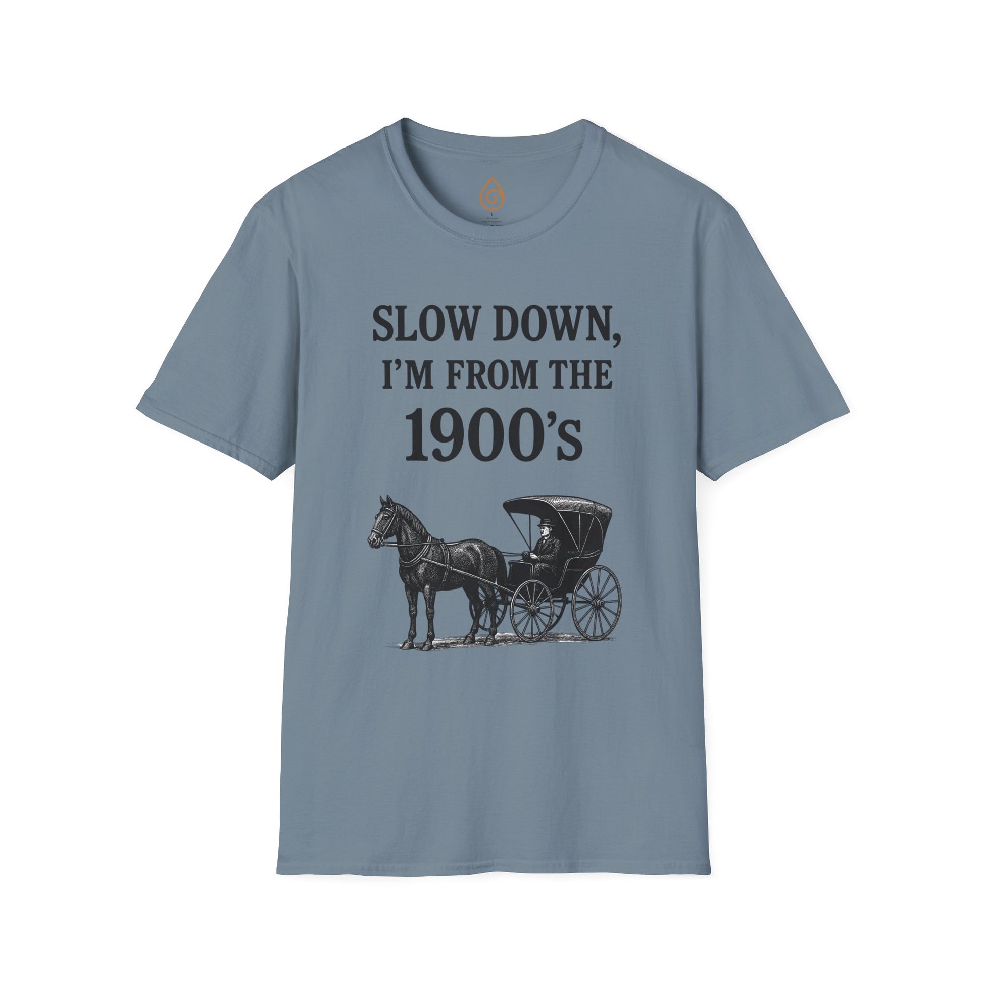 Vintage Horse and Buggy Unisex Softstyle T-Shirt, Retro Tee for History Buffs, Slow Down I'm from the 1900s Shirt, Black and White Graphic